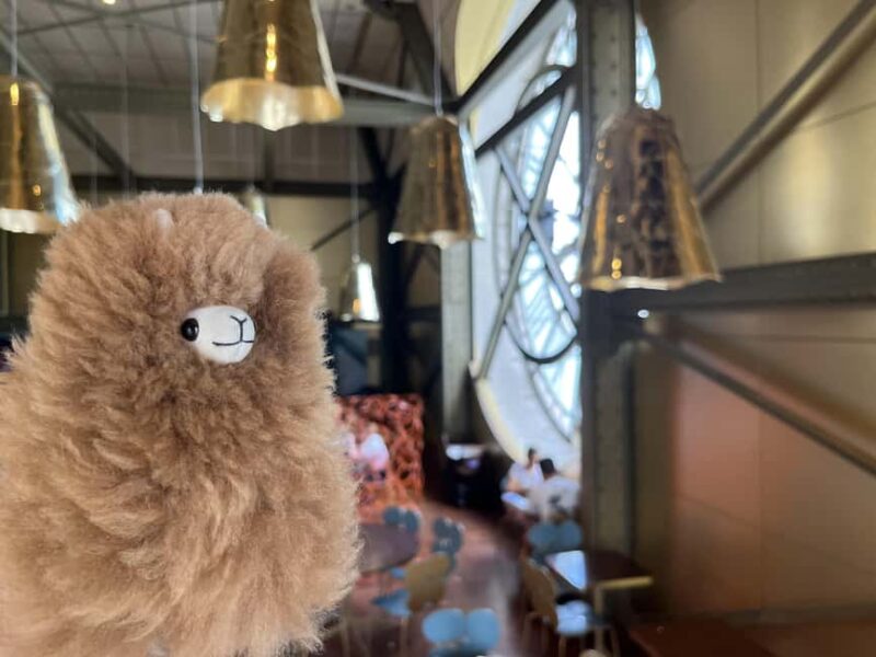 Orsay Museum: Museum Ticket Entry & 2h Private Guided Tour - Frequently Asked Questions