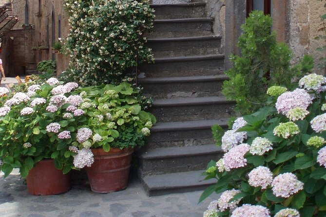 Orvieto and Civita di Bagnoregio: Private Full Day Trip from Rome - Exploring Orvieto: The Clifftop City