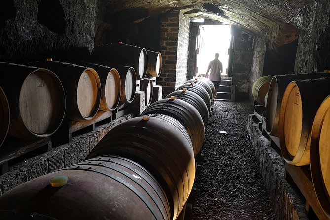 Orvieto by Evening: Small Group e-Bike tour with Dinner - Winery and Food Tasting at Cantina Foresi