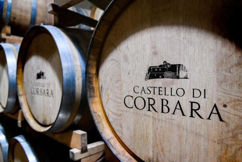 Orvieto, Castello di Corbara: cellar visit and wine tasting - Exploring Castello di Corbara in Umbria