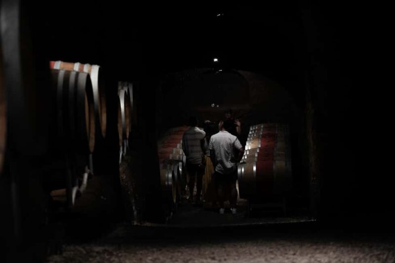 Orvieto: Classic Wine Tasting at Madonna del Latte - Key Points