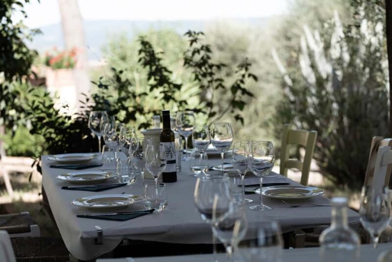 Orvieto: Classic Wine Tasting at Madonna del Latte - Discover Madonna del Latte’s Boutique Winery near Orvieto