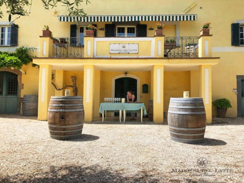 Orvieto: Classic Wine Tasting at Madonna del Latte - Tasting Four Handcrafted Estate Wines