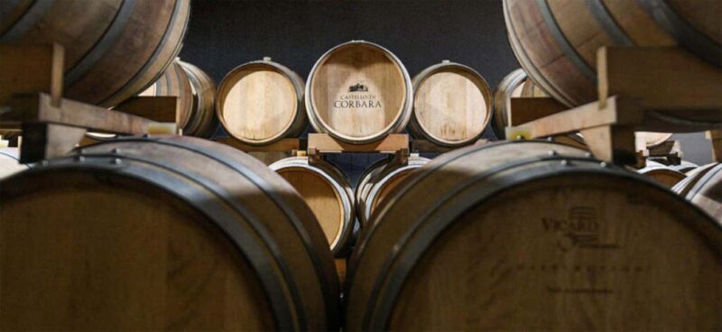 Orvieto: Umbrian Wine Tasting at Tenuta di Corbara - The Intimate Tasting Environment of Corbara