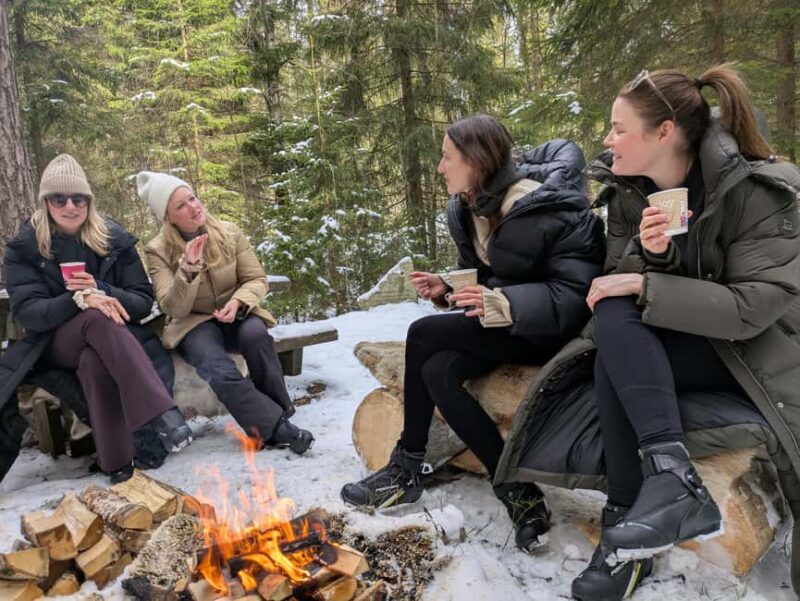 Oslo: 3-hour Cross Country trip with equipment and guide - Explore Oslos Winter Beauty with a 3-Hour Cross-Country Ski Trip