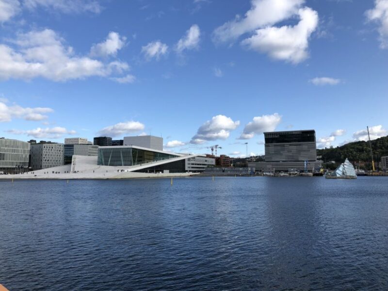 Oslo: City Highlights Guided Tour by Coach with Fjord Cruise - What Sets This Tour Apart from Others