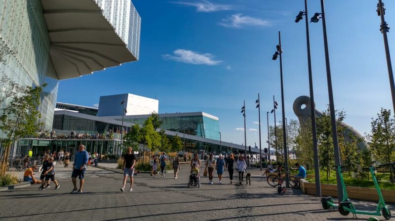 Oslo: City Highlights Walking Tour - Final Stop with a View of the Royal Palace