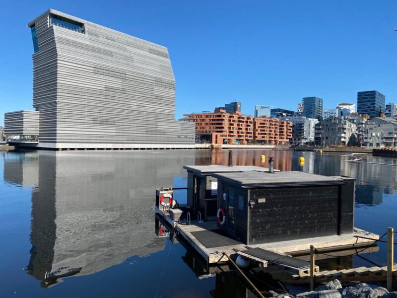 Oslo: City Walking Tour with Passionate Independent Guide - Panoramic Views from Akershus Fortress