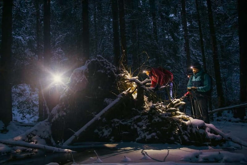 Oslo Forest: Mystery Nocturne Walk with Headlamps - The Nocturnal Atmosphere in Oslo Forest