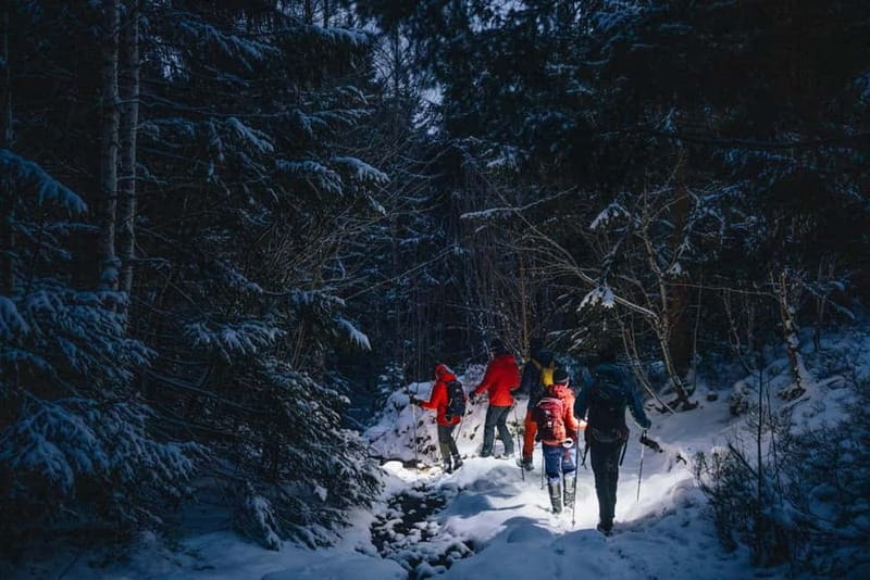 Oslo Forest: Mystery Nocturne Walk with Headlamps - Timing and Pacing of the Walk
