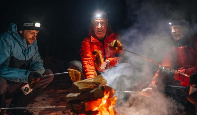 Oslo Forest: Mystery Nocturne Walk with Headlamps - Who Will Most Enjoy This Tour?