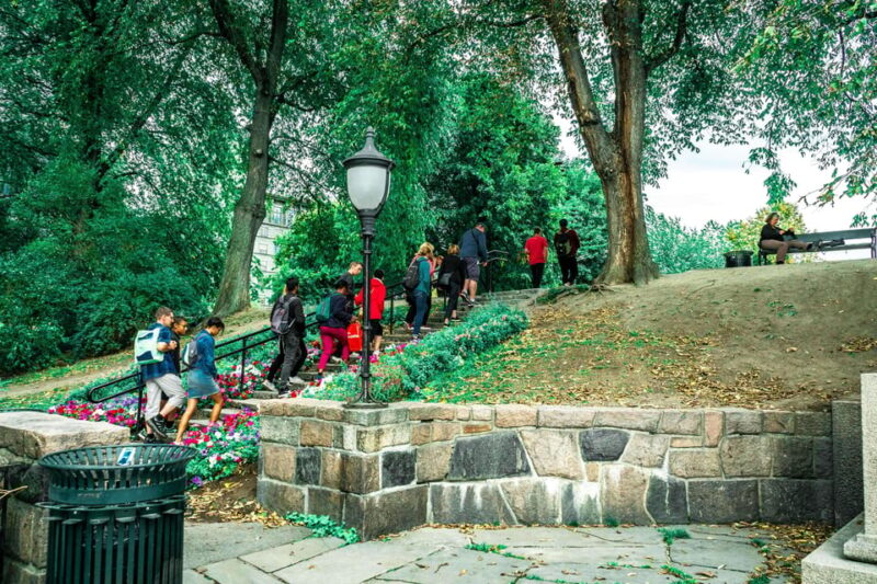 Oslo: Highlights, Vigeland Park & Fram Museum Private Tour - Oslo City Center: From the Opera House to Karl Johans Street