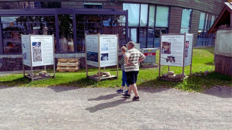 Oslo: Legendary Viking Treasures (Private Bus Tour) - Food, Drinks, and Extras