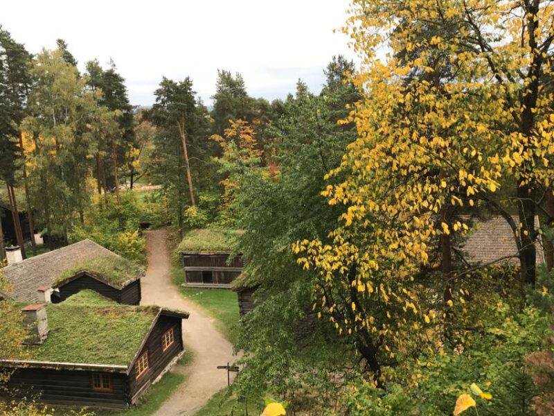 Oslo: Norwegian Explorers and Culture 3 Museum Tour - Experiencing the Northern Lights and Chill Room