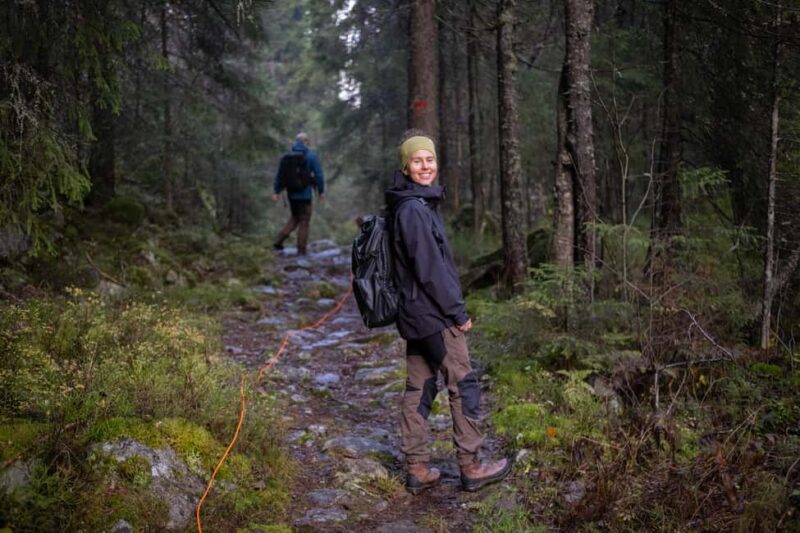 Oslo: Old-Growth Forest Hike with a Biologist - Walking Through a Quiet Norwegian Forest