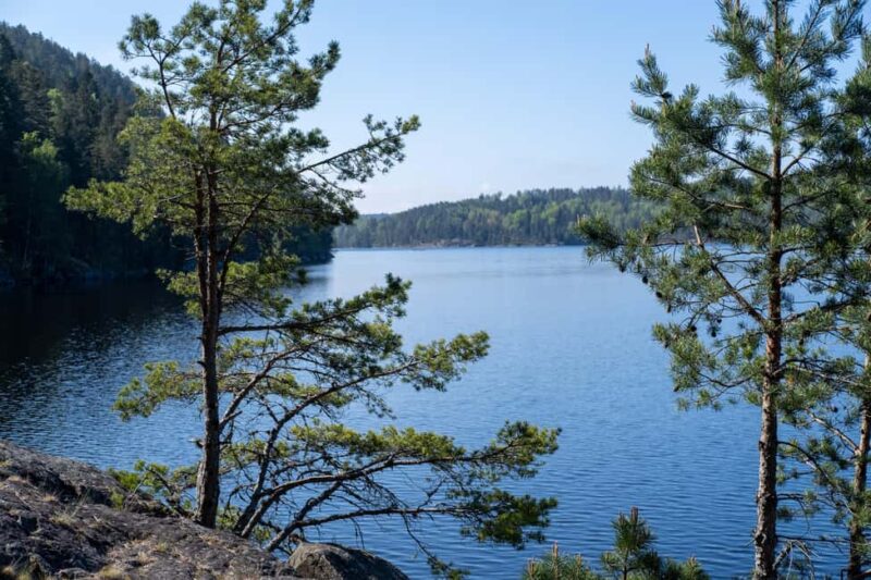 Oslo: Old-Growth Forest Hike with a Biologist - Scenic Viewpoints and Photo Opportunities
