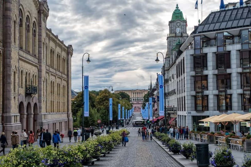 Oslo Old Town Walking Tour and Fjord Cruise Tickets - Final Thoughts on Oslo’s Best Half-Day Experience
