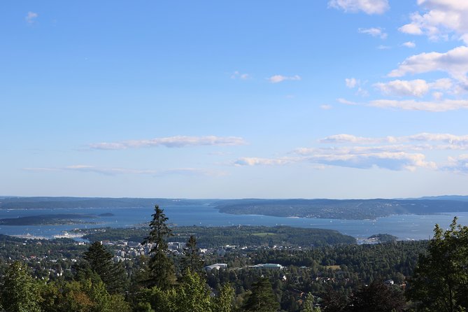 Oslo Panorama Tour with Holmenkollen Ski Jump and Vigeland Park - Key Points