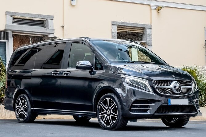 Oslo : Private Transfer to/from Gardermoen Airport to city - Pricing, Booking, and Cancellation Flexibility