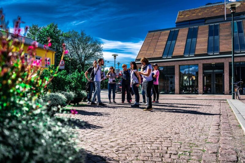 Oslo: Private Walking Tour - Walking past Oslo’s Royal Palace and Parliament