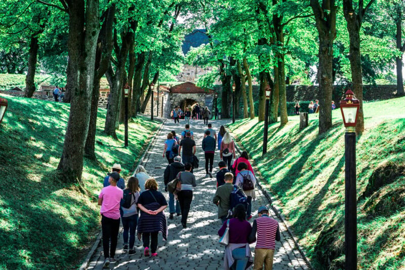 Oslo: Private Walking Tour - A Walk through Oslo’s Historical Fortress: Akershus