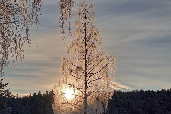 Oslo: Scenic Forest Hike with Dog & Local Guide - The Guide’s Approach and the Personal Touch