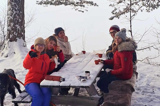 Oslo: Scenic Forest Hike with Dog & Local Guide - The Scenic Highlights and Viewpoints