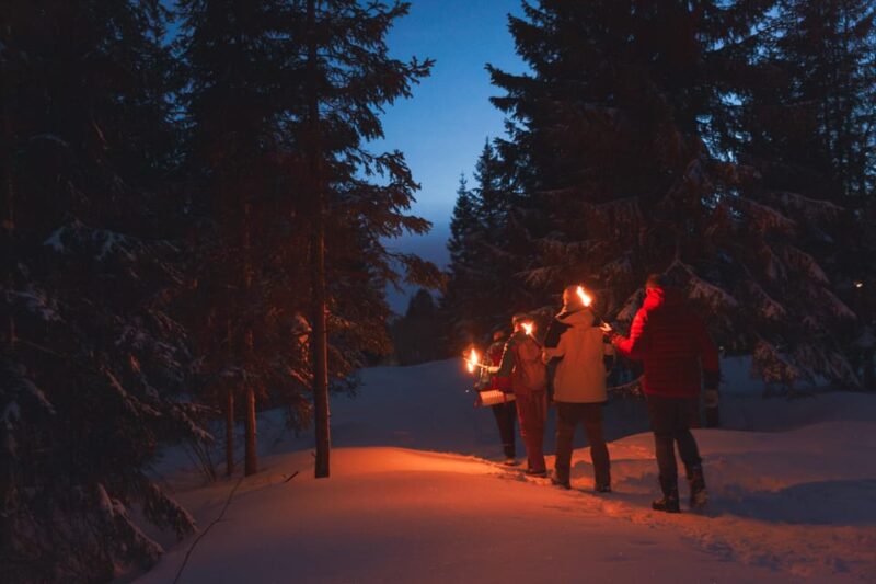 Oslo: Snowy Forest Torchlight Walk with Campfire - The Cozy Campfire at Øvresetertjern Lake