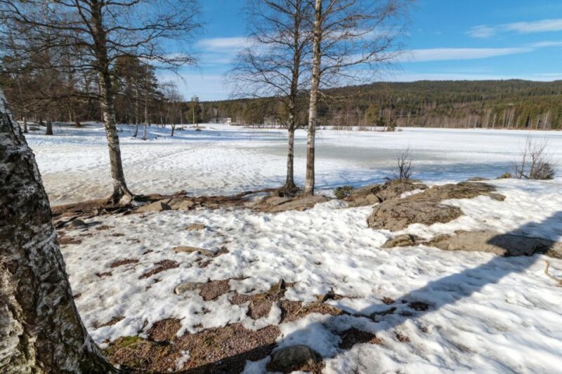 Oslo Summit: A Scenic Hiking Adventure to Vettakollen - Oslo Summit: A Scenic Hiking Adventure to Vettakollen