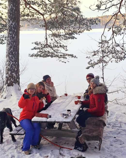 Oslo: Winter Wonderland Forest Hike and Campfire with a Dog - Key Points