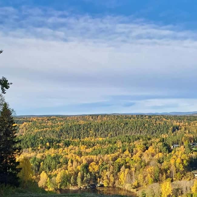 Oslo: Winter Wonderland Forest Hike and Campfire with a Dog - Exploring Hidden Natural Gems with a Friendly Dog