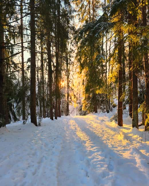 Oslo: Winter Wonderland Forest Hike and Campfire with a Dog - Visiting a Traditional Village and Local Life Insights