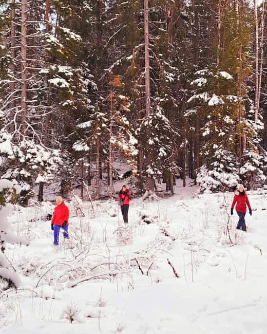 Oslo: Winter Wonderland Forest Hike and Campfire with a Dog - Food and Drinks: Waffles, Hot Drinks, and Local Snacks