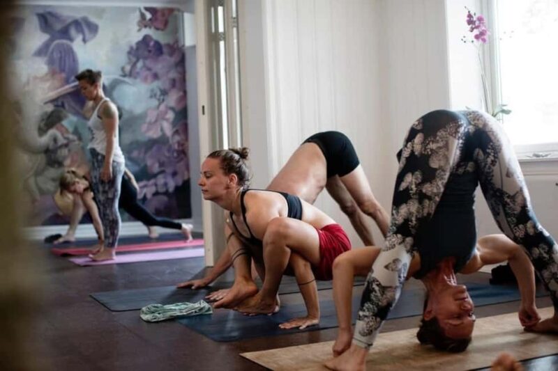 Oslo: Yoga & Ayurvedic Brunch Experience in Oslo - Key Points