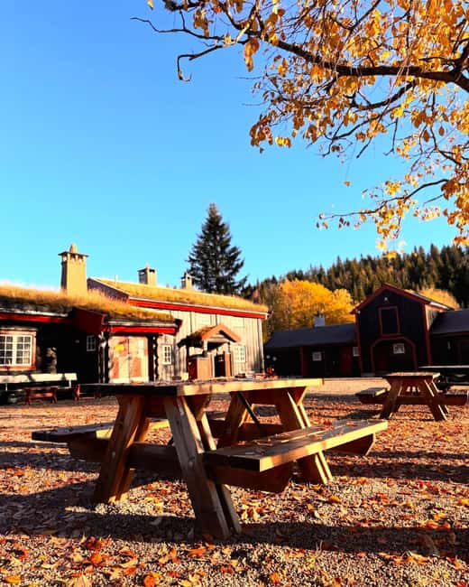 Oslo's Mountain Food Tour: Winter Forest & Campfire Feast - The Role of the Expert Guides and Chefs