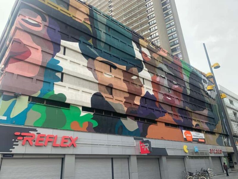 Ostend : Private citycenter street-art walk with local guide - The Guide’s Role in Bringing Murals to Life