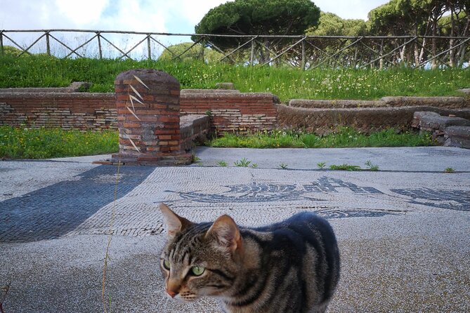 Ostia Antica archeological park with Italian GELATO - Small-Group Format Ensures Personal Attention