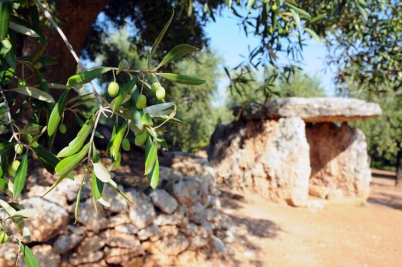Ostuni e-bike tour. The olive trees and a local oil mill - Key Points