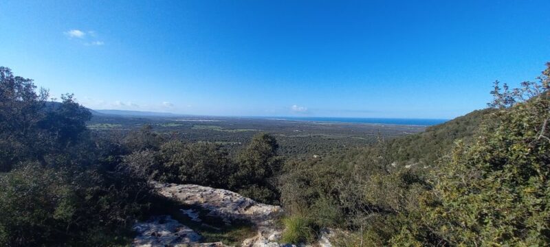 Ostuni: E-Bike Tour with a Glass of Wine & Bruschetta - The Overall Value and Experience