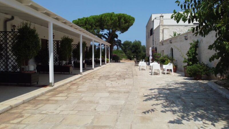 Ostuni: Olive Oil Tasting Tour - The Guide’s Knowledge and Style