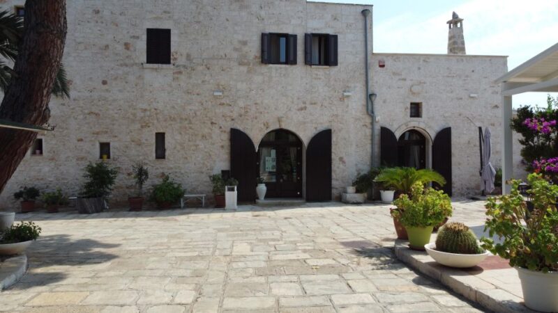 Ostuni: Olive Oil Tasting Tour - Evaluating the Value for Money