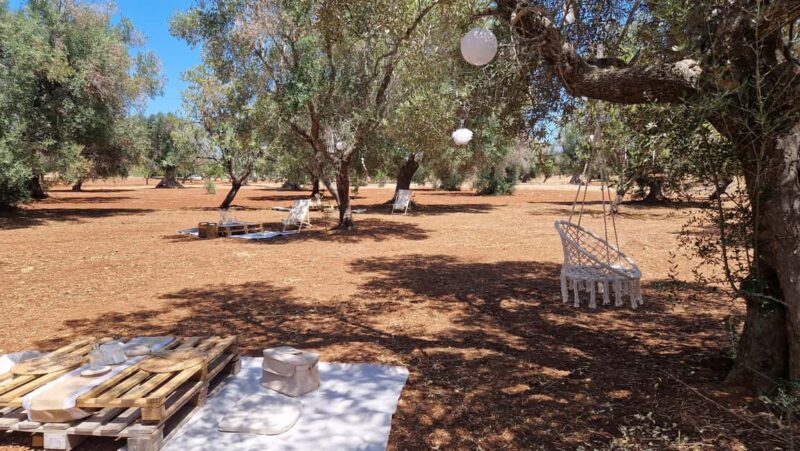 Ostuni: San Vito dei Normani: Organic Picnic in Olive Grove - Discover the Charm of the Organic Olive Grove Picnic