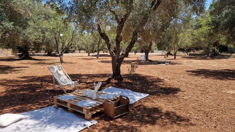 Ostuni: San Vito dei Normani: Organic Picnic in Olive Grove - Curated Organic and Local Foods