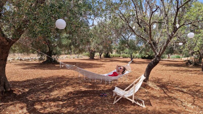 Ostuni: San Vito dei Normani: Organic Picnic in Olive Grove - Engaging Activities for All Ages
