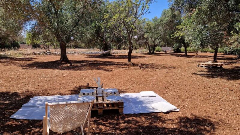 Ostuni: San Vito dei Normani: Organic Picnic in Olive Grove - Meeting Point and Accessibility