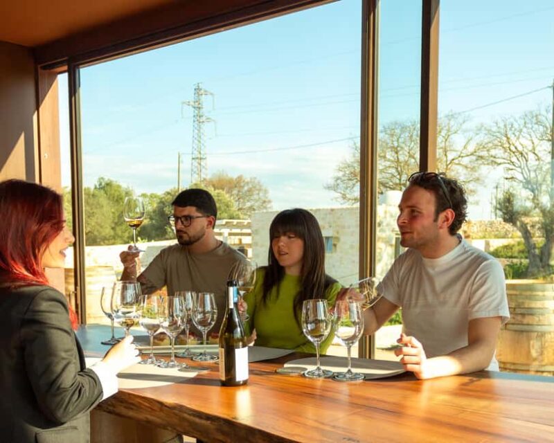 Ostuni's organic wines tour and tasting in the winery - Key Points