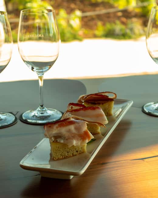 Ostuni's organic wines tour and tasting in the winery - A Closer Look at the Ostuni Organic Winery Setting