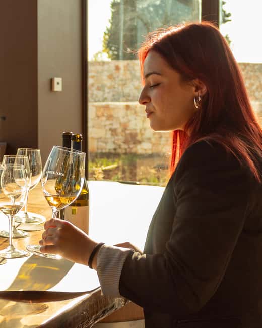 Ostuni's organic wines tour and tasting in the winery - Tasting the Organic Wines and Local Products