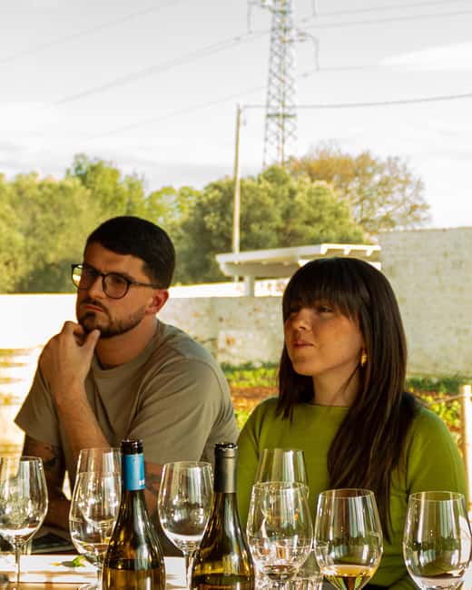 Ostuni's organic wines tour and tasting in the winery - Who Will Appreciate This Tour Most?
