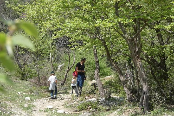 Osumi Canyons and Bogova Waterfall from Berat - Tour by 1001 Albanian Adventures - Physical Requirements and Recommendations